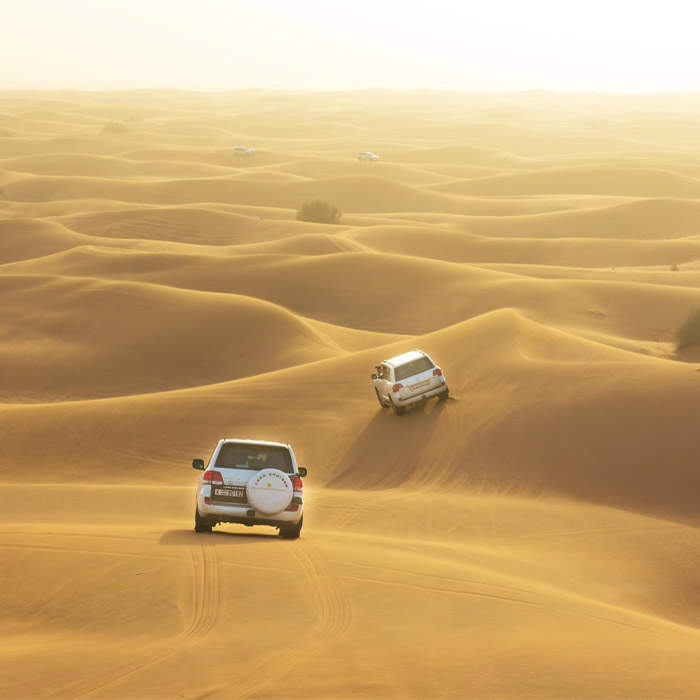dubai sand dunes tour