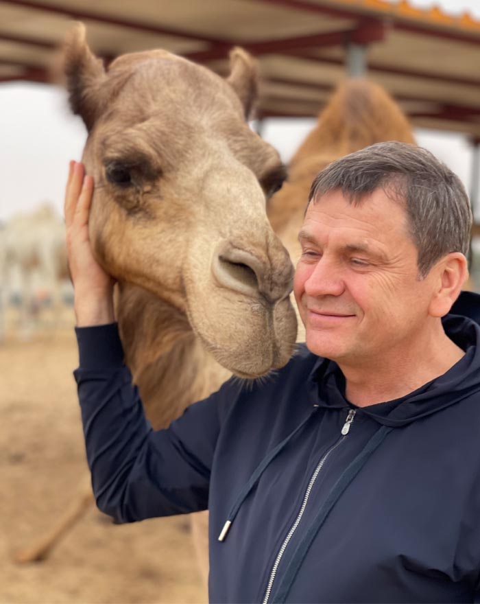 desert horseback riding in dubai