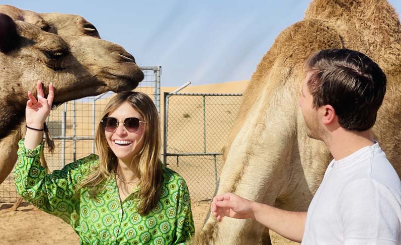 camel desert safari dubai