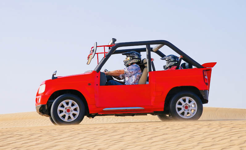 dubai desert buggy ride