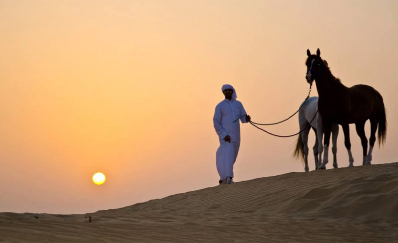 desert horseback riding in dubai