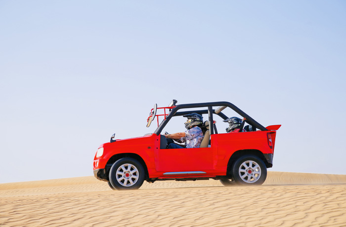 dubai buggy ride in red dunes