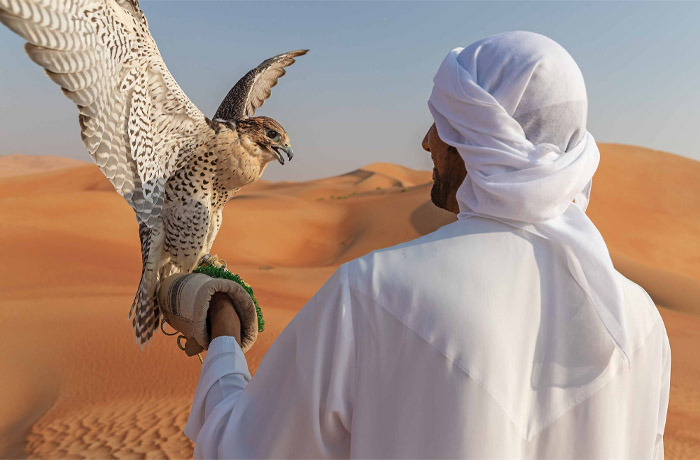 best falcon show in dubai desert