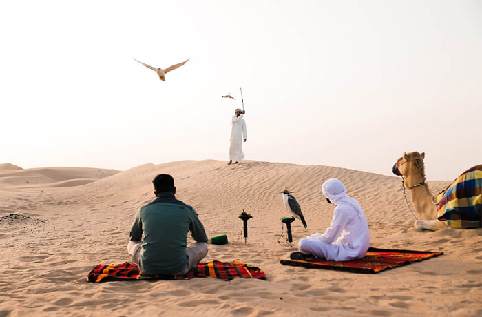 falcon show in dubai desert