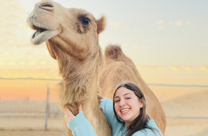 camel desert safari dubai